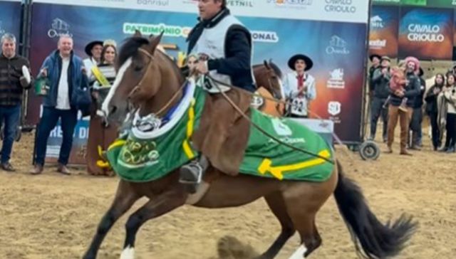 Como marca la historia