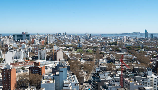 Radiografía de un sector dinámico