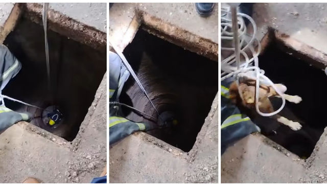 Qué pasa por allá abajo