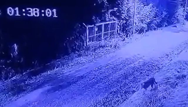 Fue a parar al asador