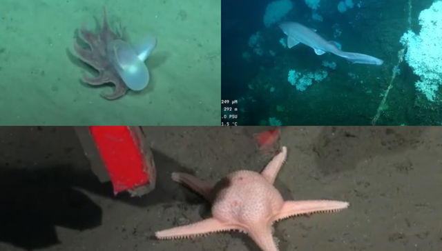 Imágenes impactantes