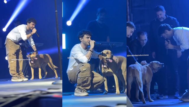 El mejor amigo del hombre