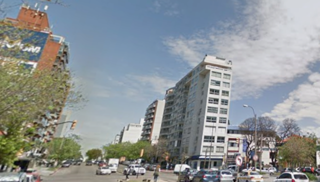 El palo en la ruedan't