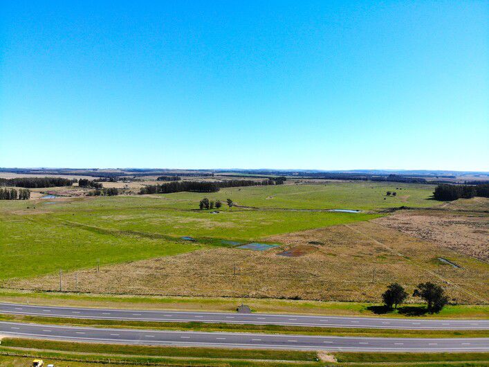 Foto: Montevideo Portal