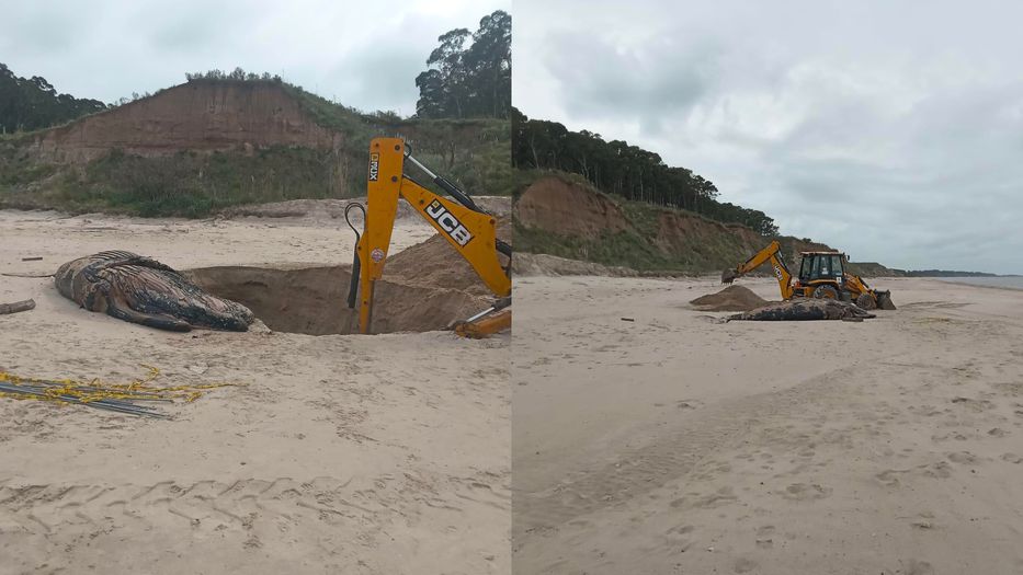 Como diría Raffaella Carrá