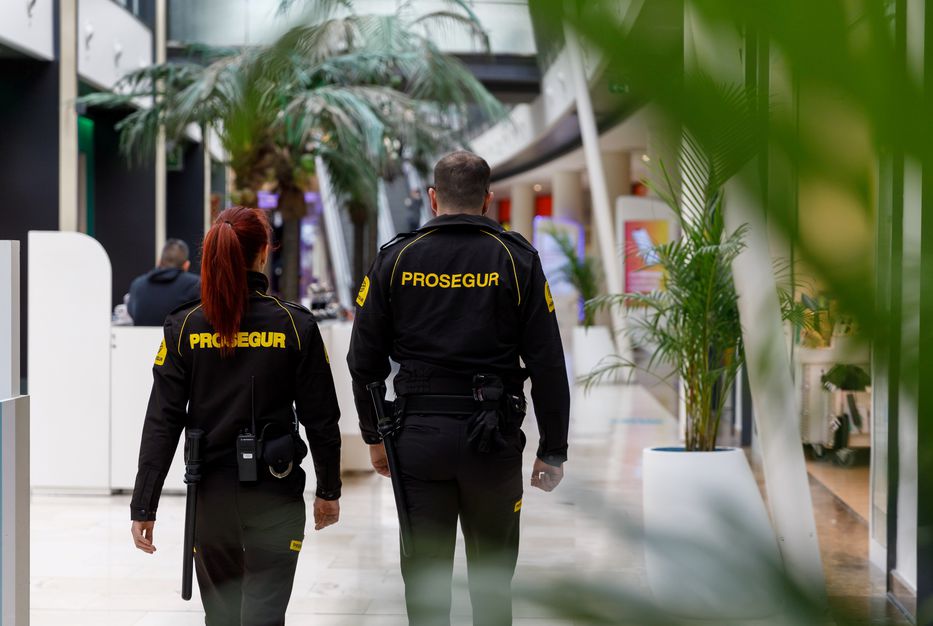 Seguridad empresarial