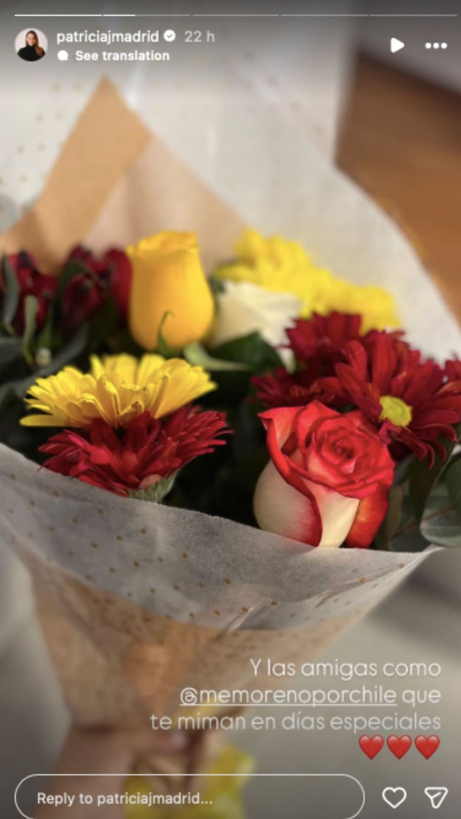 Foto: Historias de Instagram/ @patriciajmadrid