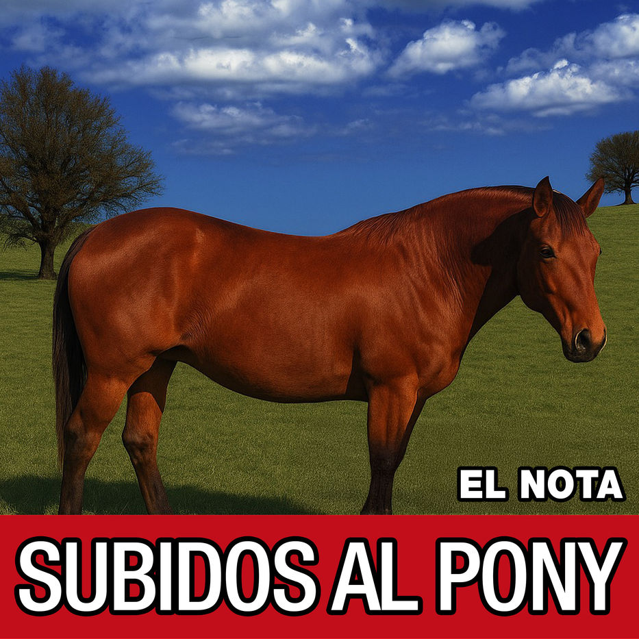 Subidos al Pony (2025)