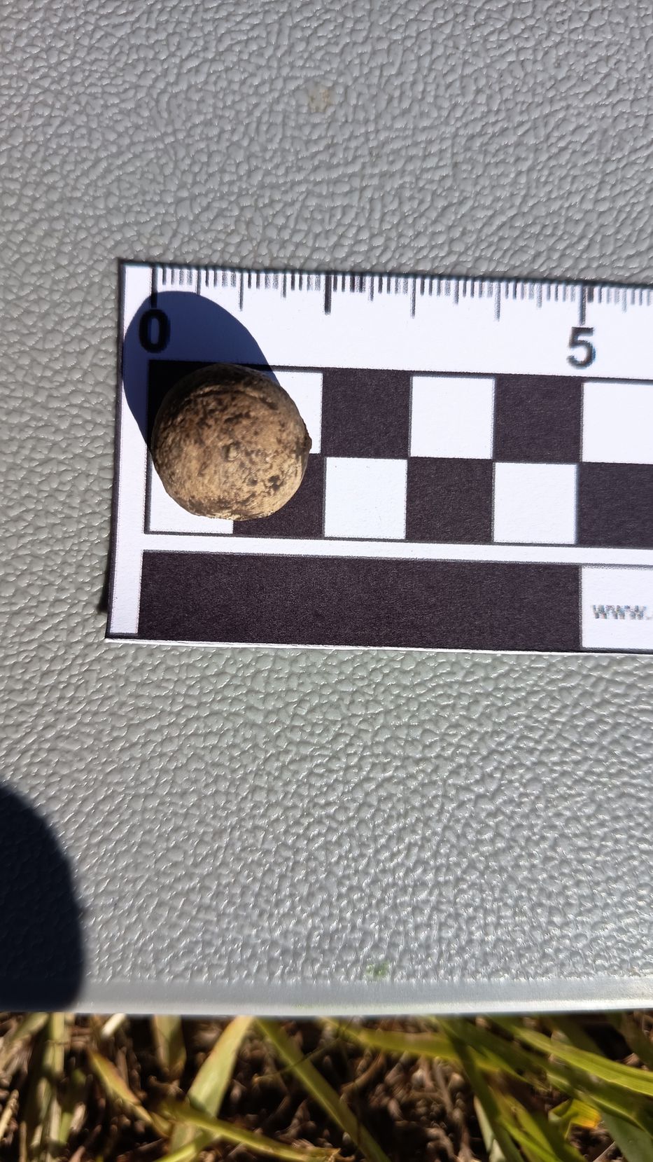 Intendencia de Soriano