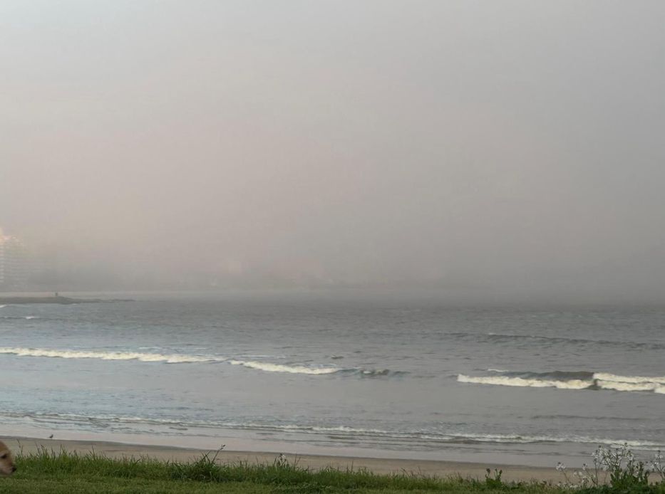 Solita en un rincón...