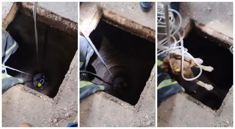 Qué pasa por allá abajo