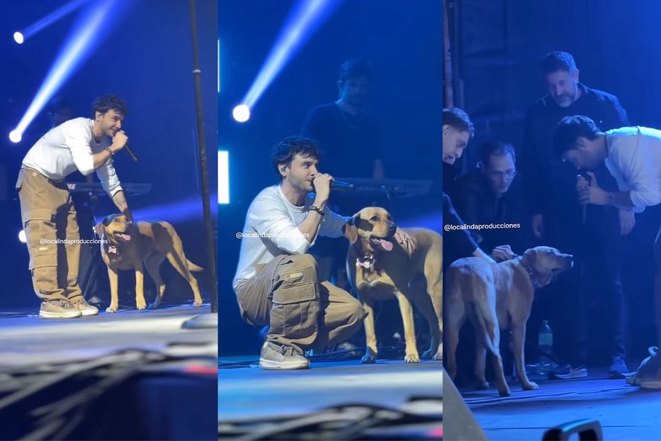 El mejor amigo del hombre