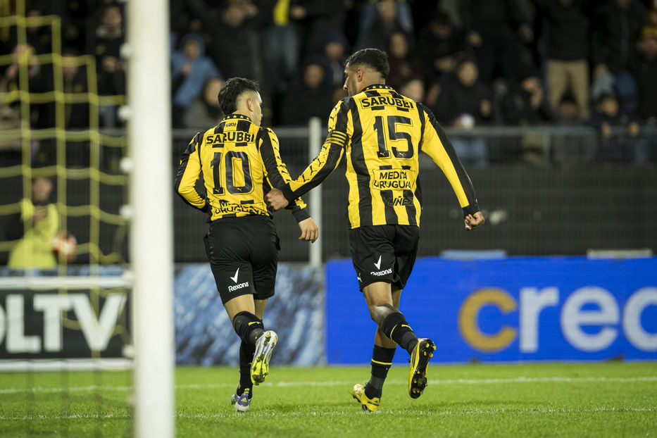 Para meter las manos