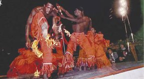 Botánicos y mentalistas