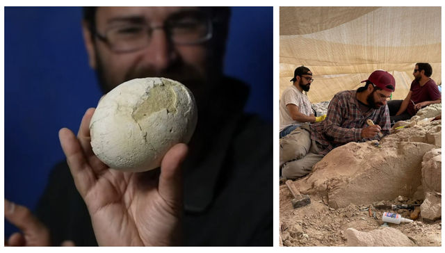 Lo que se preguntaría Susana