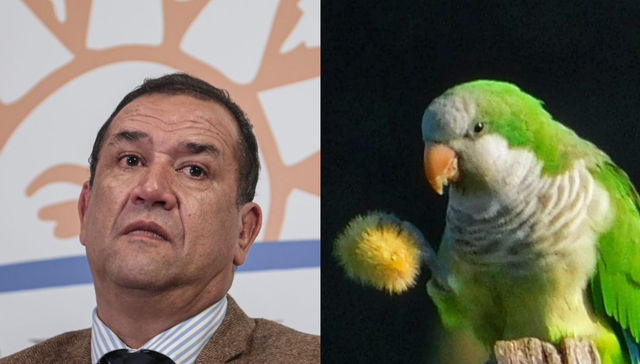 Balan’t y al ríon’t