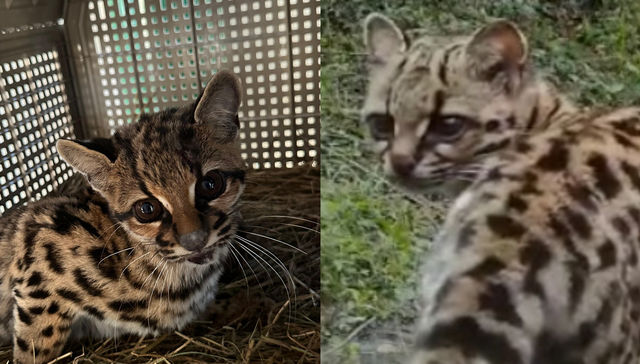 Mejor prevenir que lamentar