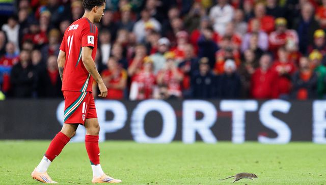 ¿Dalto o Martiñones?