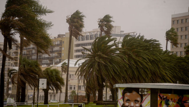 Lo que sigue a se viene