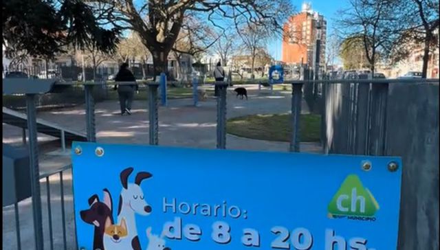 Who let the dogs out