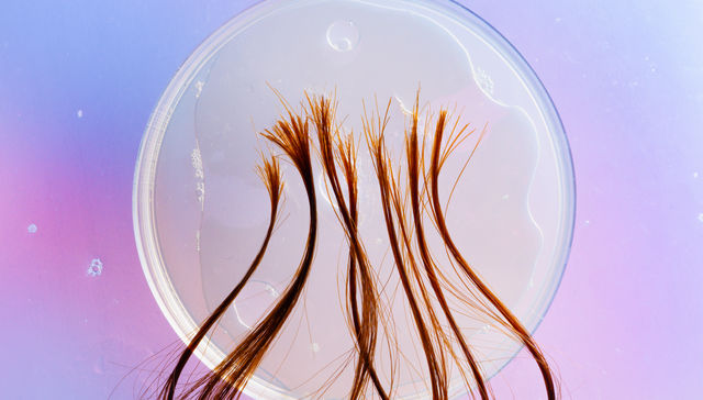 Por The New York Times