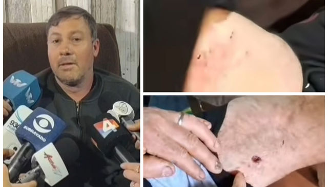 La ciudad y los perros