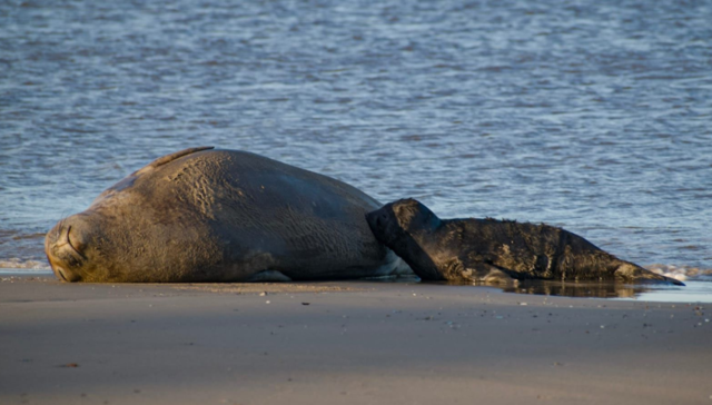 Una estrella de rock