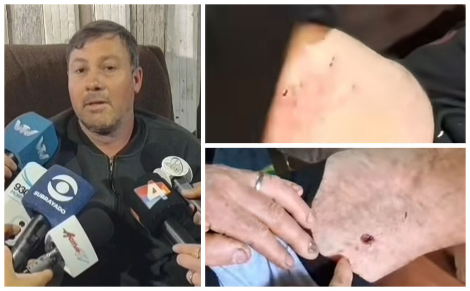 La ciudad y los perros