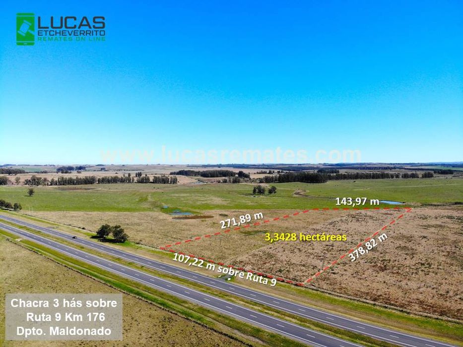 Foto: cedida a Montevideo Portal