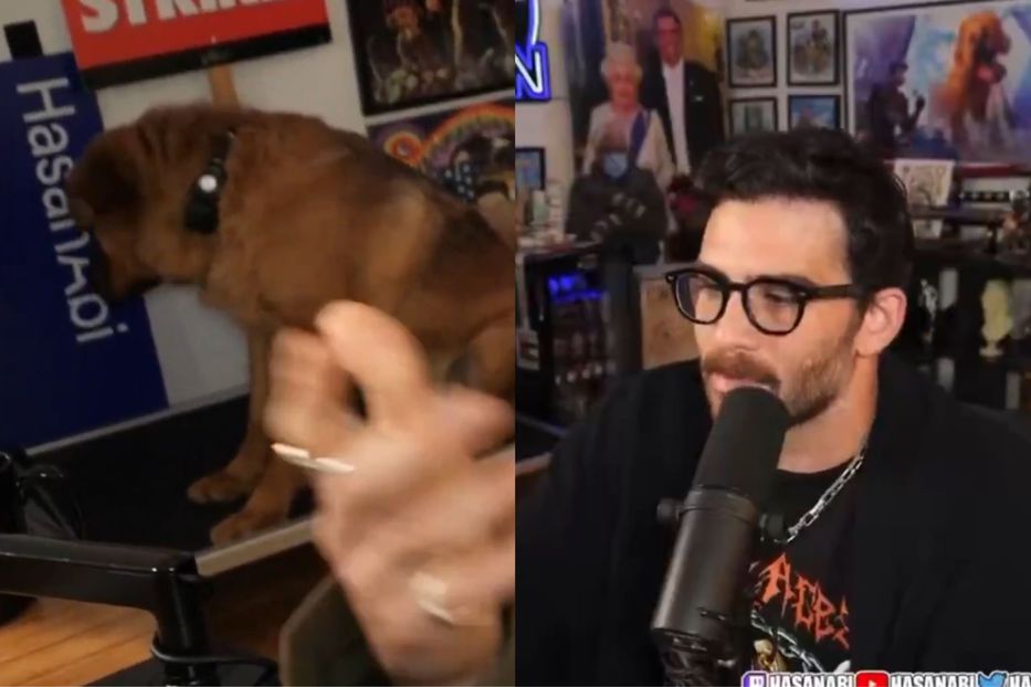 Si es así, repudiable