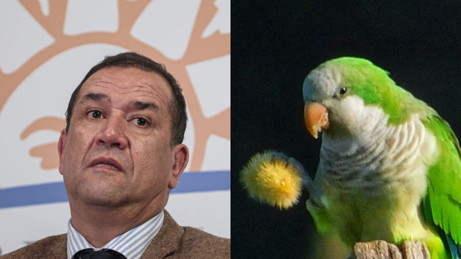 Balan’t y al ríon’t