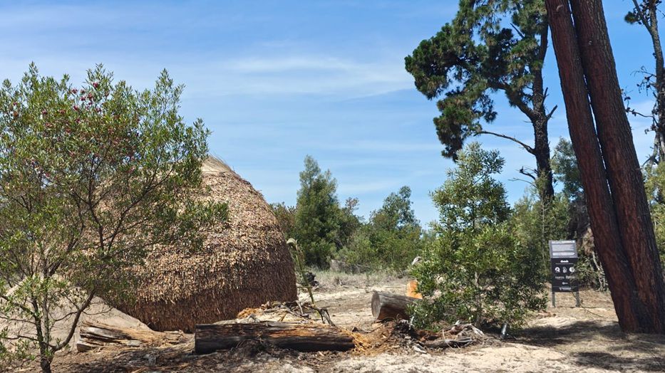 Foto: Montevideo Portal