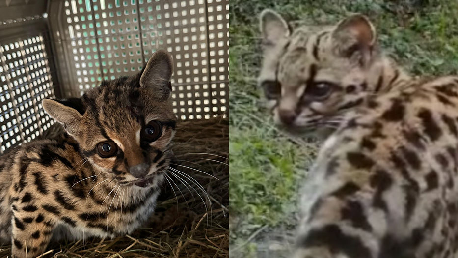 Mejor prevenir que lamentar