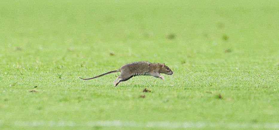 Foto: DIMITRIS LEGAKIS / EFE