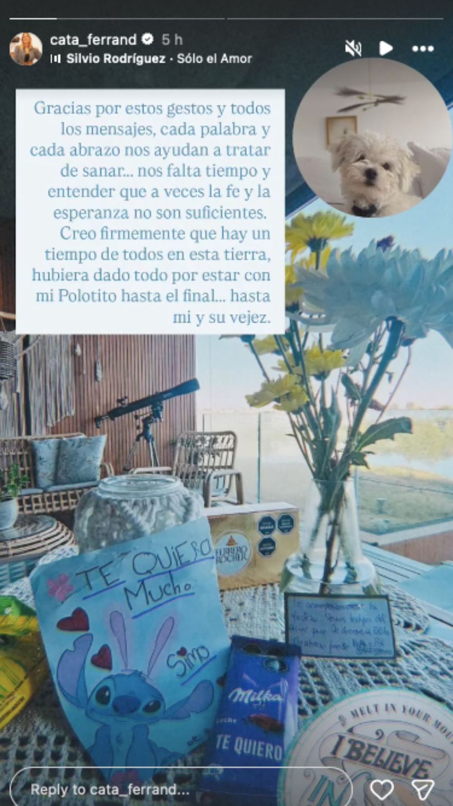 Foto: Historias de Instagram/ @cata_ferrand