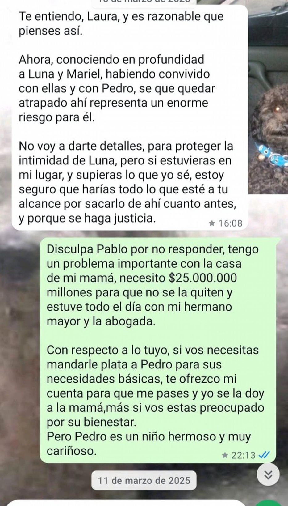 Foto: captura de redes sociales
