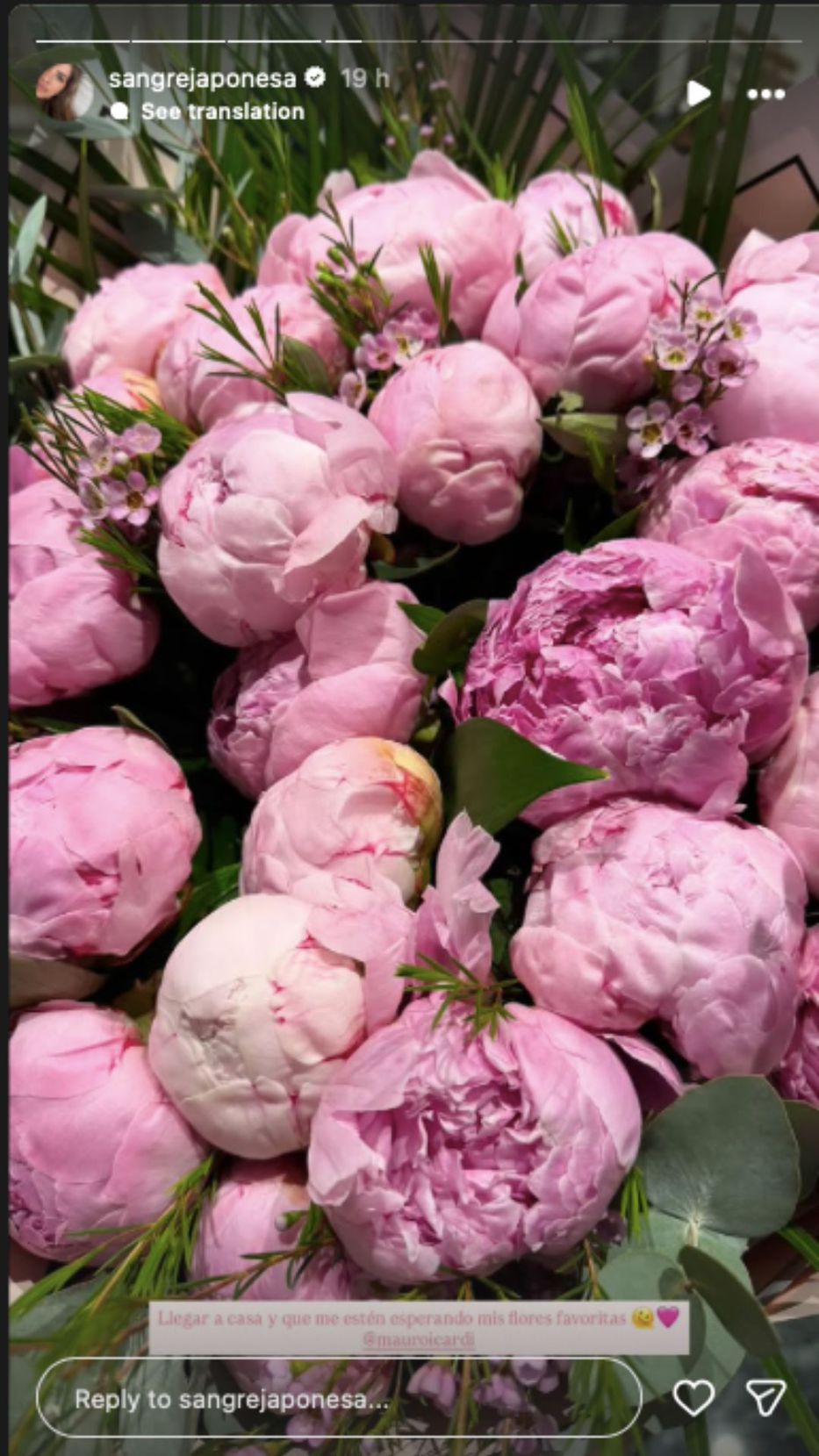 Foto: Historias de Instagram/ @sangrejaponesa