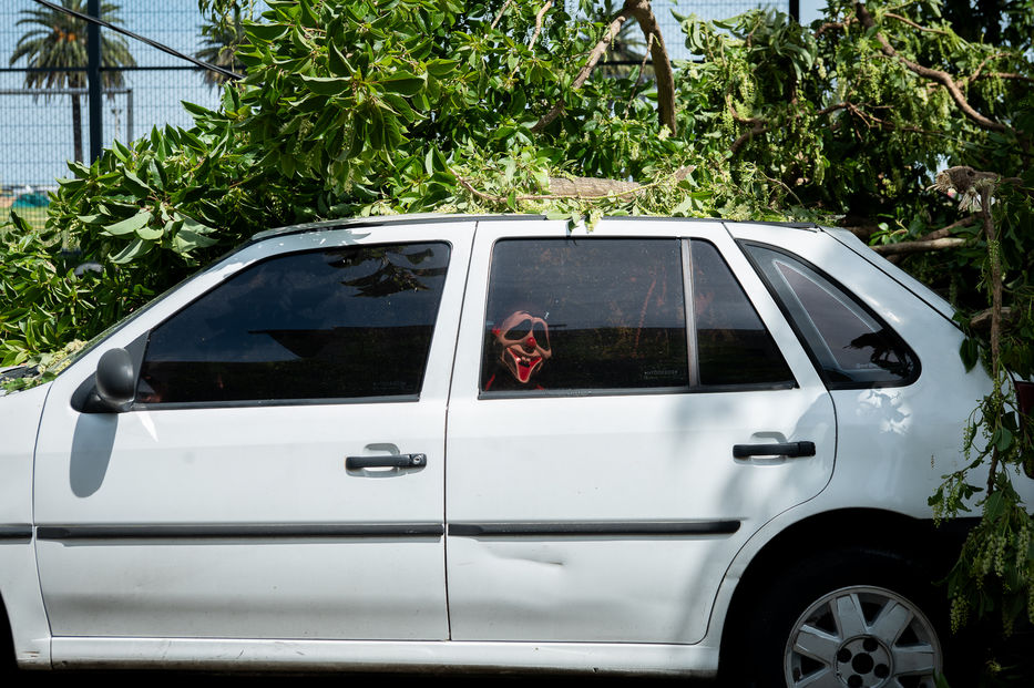 Javier Noceti / Montevideo Portal