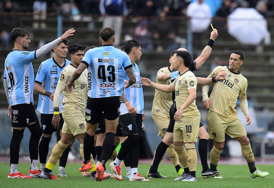 Zorro no te lo lleves