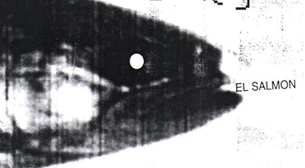 Expulsados del paraíso