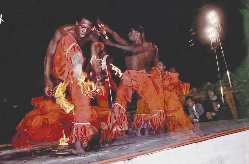 Botánicos y mentalistas