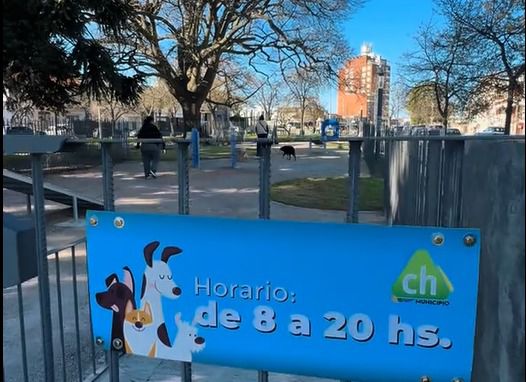 Who let the dogs out