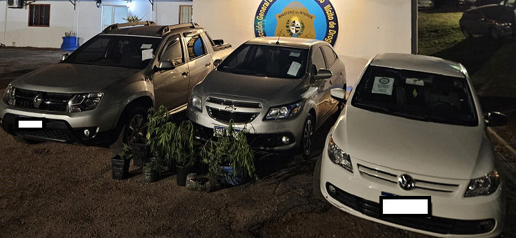 El verdadero: lauraaa