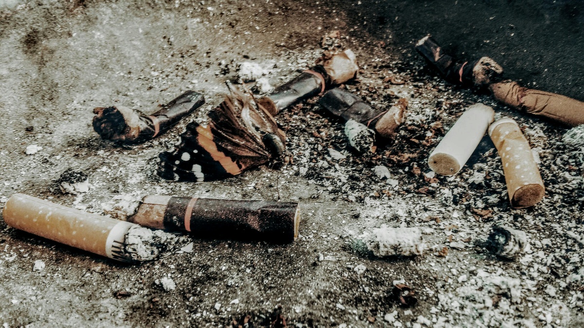 Proyecto busca prohibir arrojar colillas de cigarrillos en Montevideo tras “deterioro”