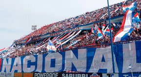 Festeja medio país
