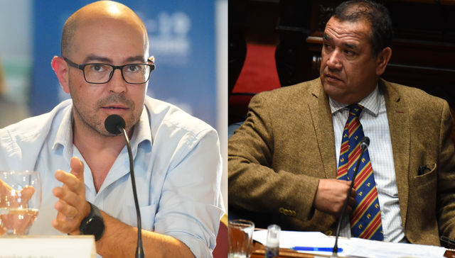 Sin pelos en la lengua