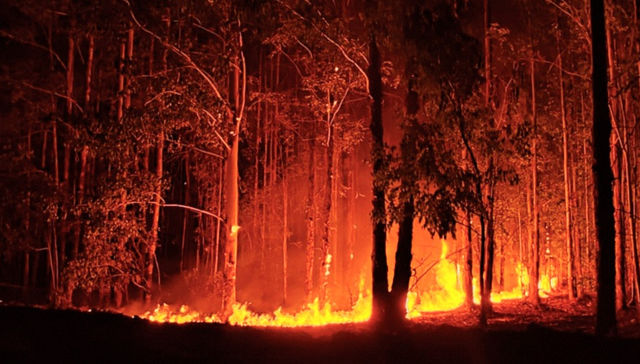 Para tener en cuenta