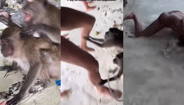 Se le fueron al humo