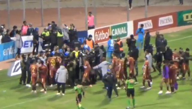 Piñas van, piñas vienen