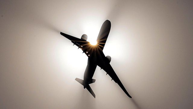 Galería de la semana